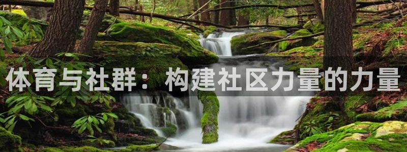 中欧体育app：体育与社群：构建社区力量的力量