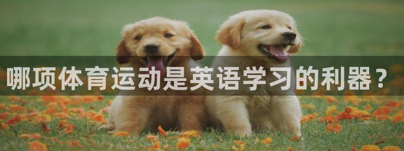 zyty中欧体育平台：哪项体育运动是英语学习的利器？