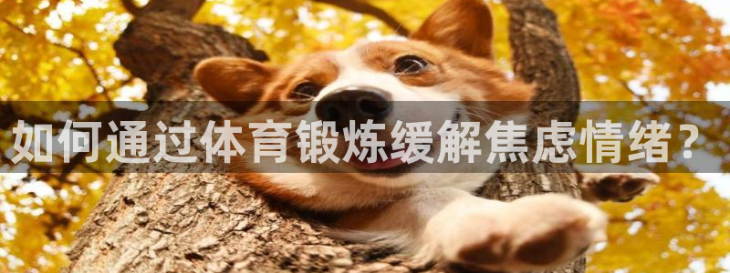 kok中欧体育登录：如何通过体育锻炼缓解焦虑情绪？