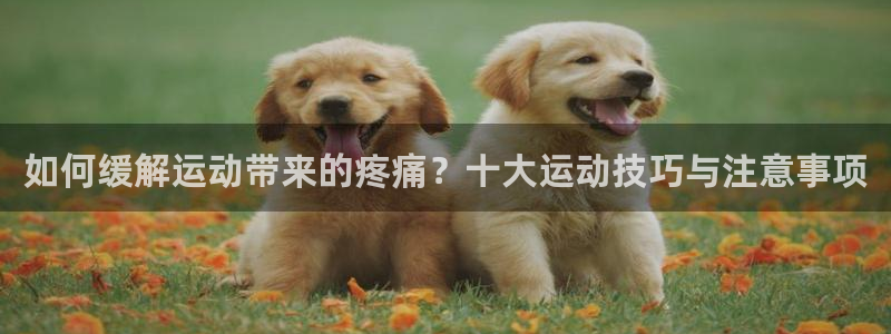 中欧体育李勇鸿：如何缓解运动带来的疼痛？十大运动技巧与注意事项