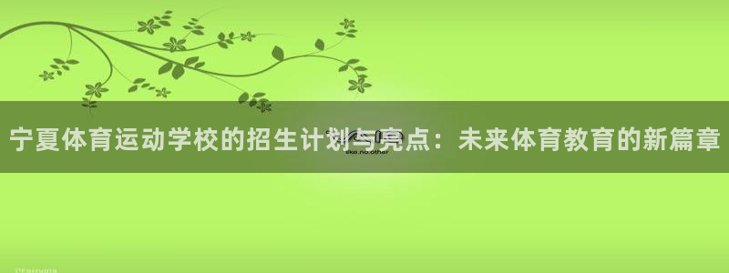 kok中欧体育登录：宁夏体育运动学校的招生计划与亮点：未来体育教育的新篇章